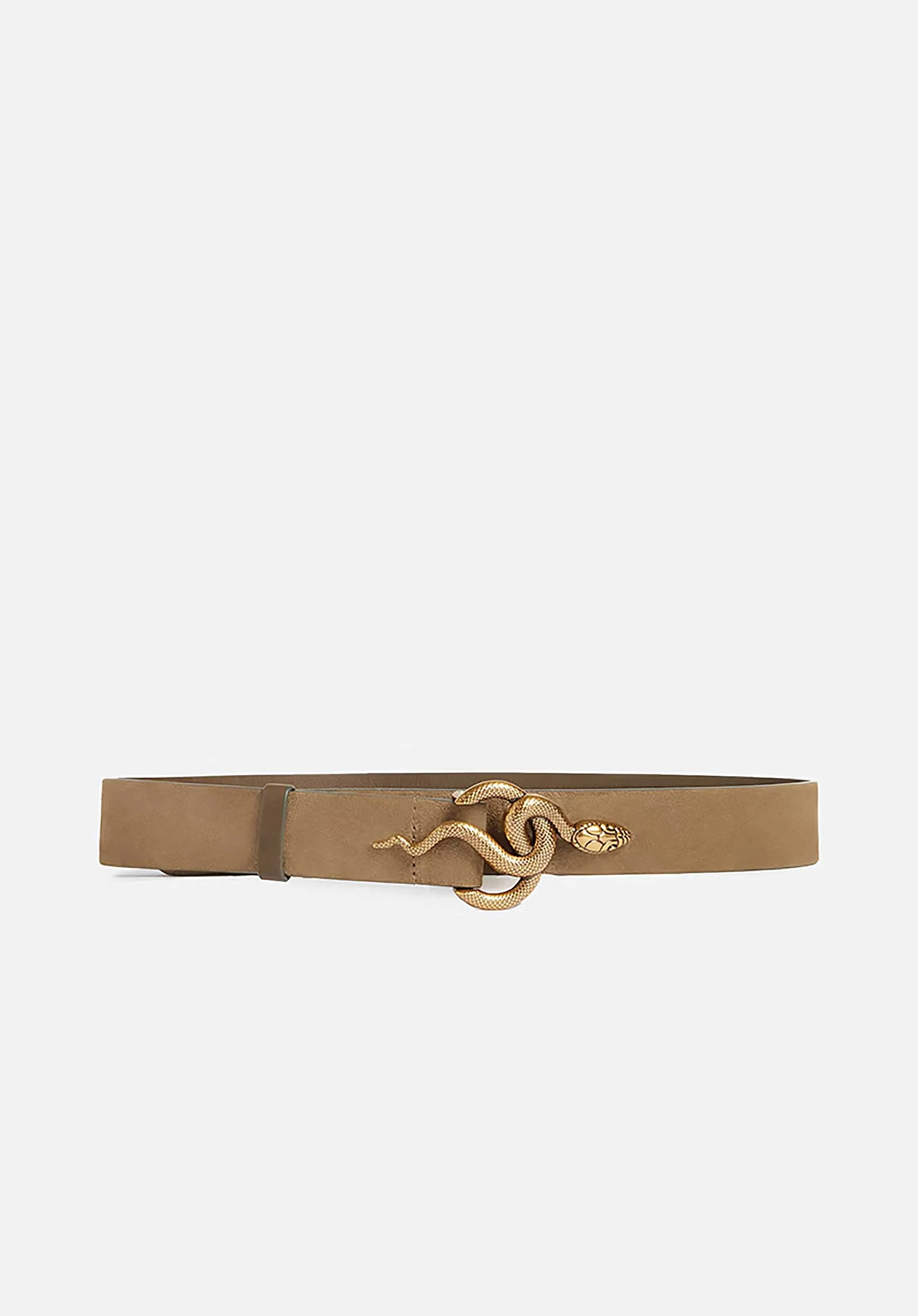 Belt 2hvd29-v42411 Grey - Image 2